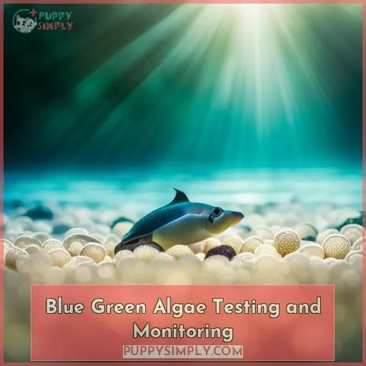 Blue Green Algae Testing and Monitoring