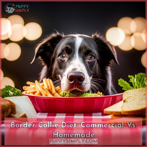 Border Collie Diet: Commercial Vs. Homemade