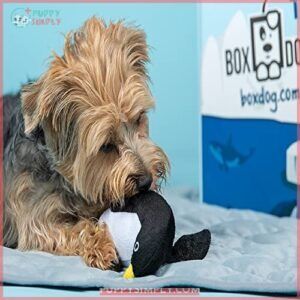 BoxDog - Monthly Dog Subscription B08BQ2KCG1