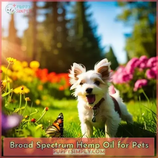Broad Spectrum Hemp Oil for Pets