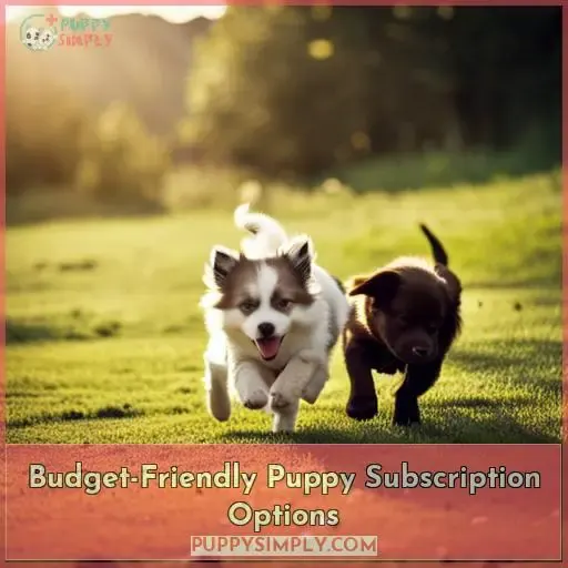 Budget-Friendly Puppy Subscription Options