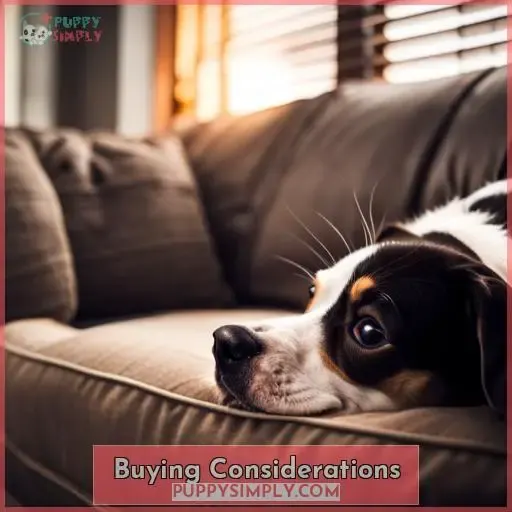 Buying Considerations