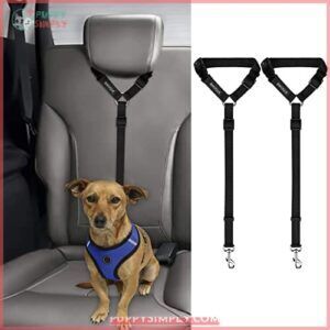 BWOGUE 2 Packs Dog Cat B078G6MKTN