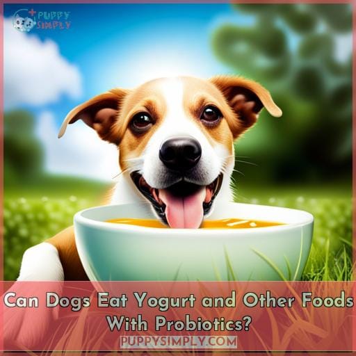 Can Dogs Eat Yogurt and Other Foods With Probiotics