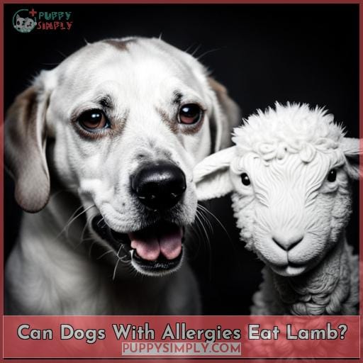 Can Dogs With Allergies Eat Lamb