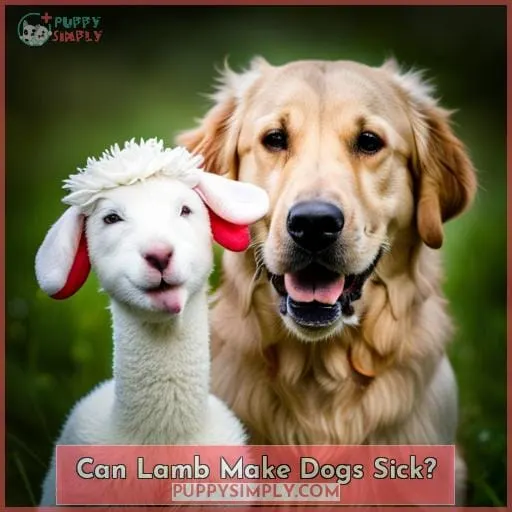 Can Lamb Make Dogs Sick