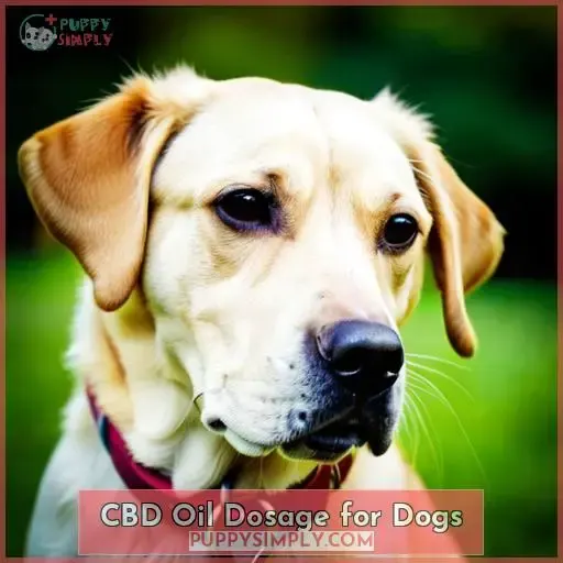 CBD Oil Dosage for Dogs