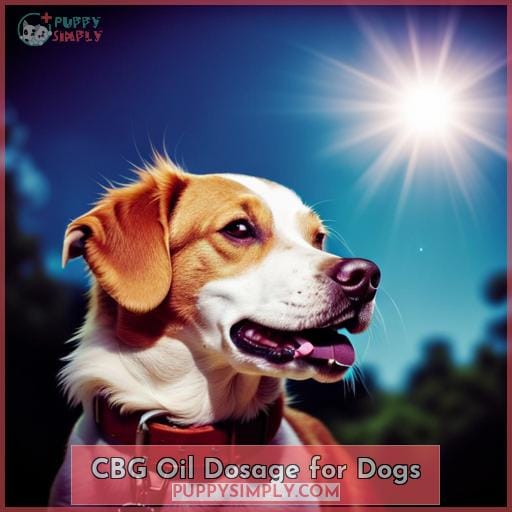 CBG Oil Dosage for Dogs