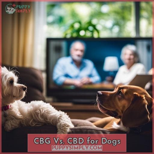 CBG Vs. CBD for Dogs