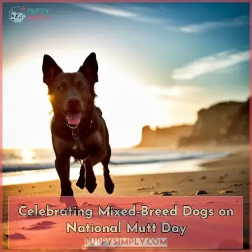 Celebrating Mixed-Breed Dogs on National Mutt Day