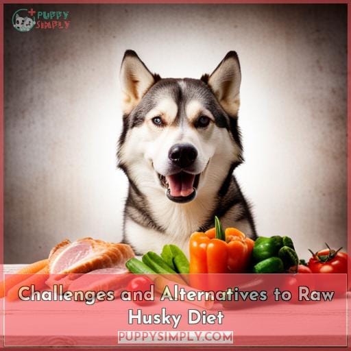 Challenges and Alternatives to Raw Husky Diet