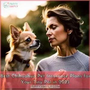 chihuahua pet insurance