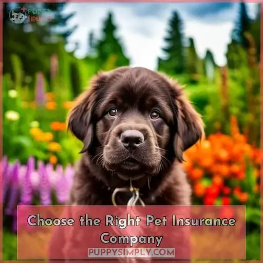 Choose the Right Pet Insurance Company