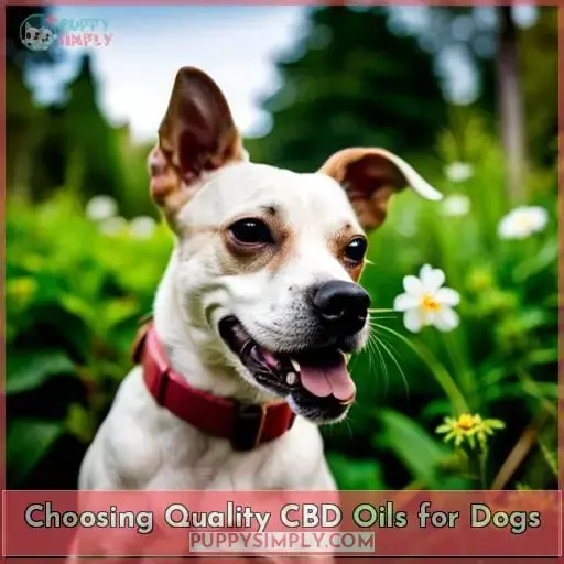 Choosing Quality CBD Oils for Dogs