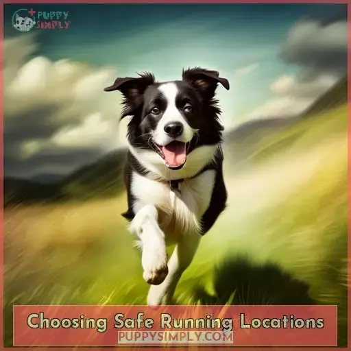 Choosing Safe Running Locations