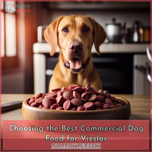 Choosing the Best Commercial Dog Food for Vizslas