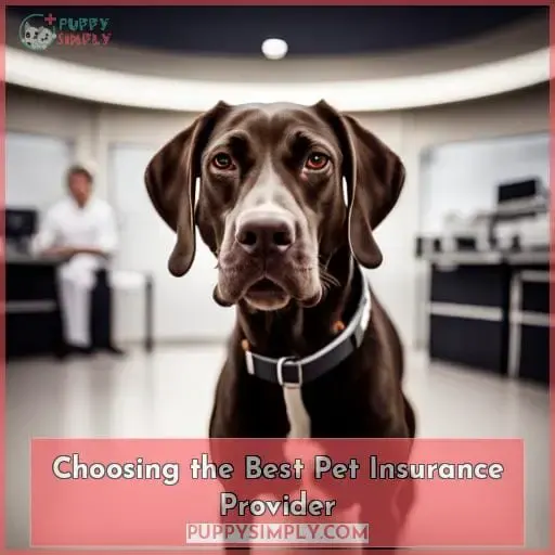 Choosing the Best Pet Insurance Provider