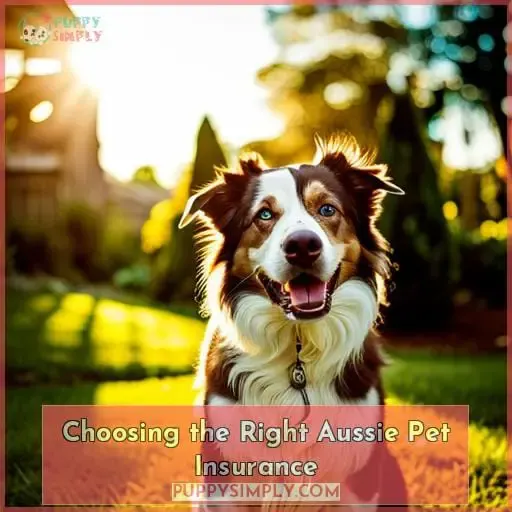 Choosing the Right Aussie Pet Insurance