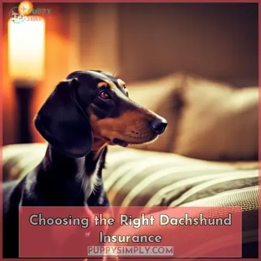 Choosing the Right Dachshund Insurance