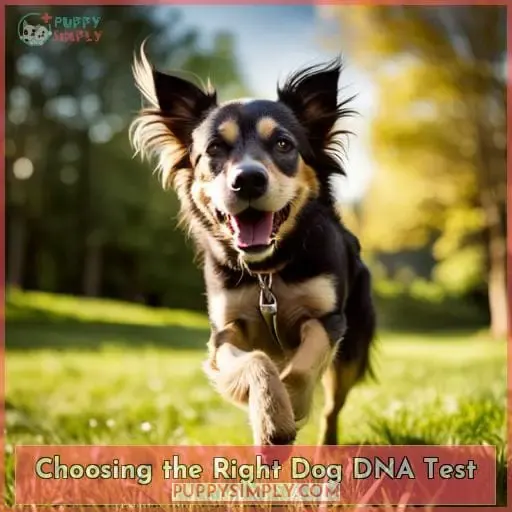 Choosing the Right Dog DNA Test
