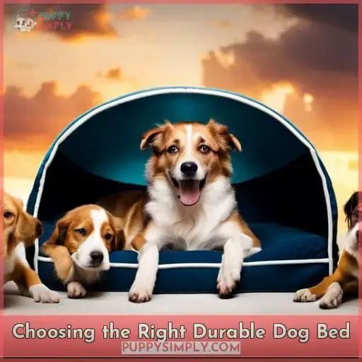 Choosing the Right Durable Dog Bed