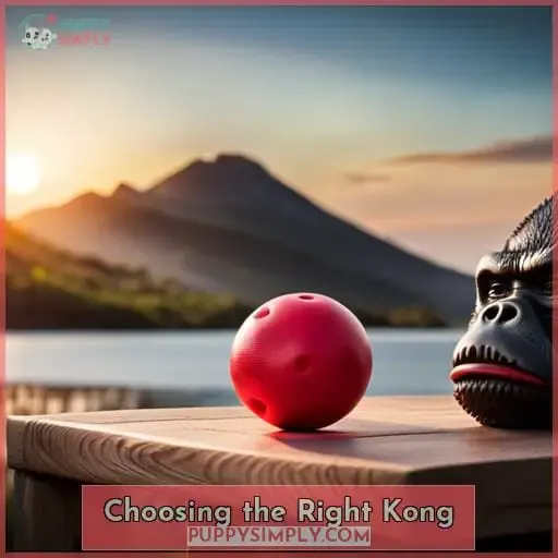 Choosing the Right Kong