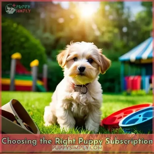 Choosing the Right Puppy Subscription