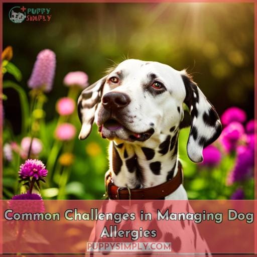 Common Challenges in Managing Dog Allergies