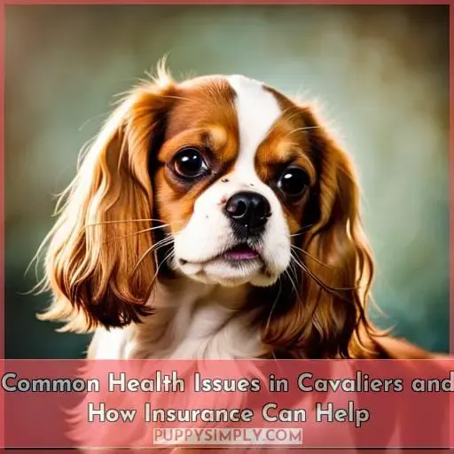 Common Health Issues in Cavaliers and How Insurance Can Help