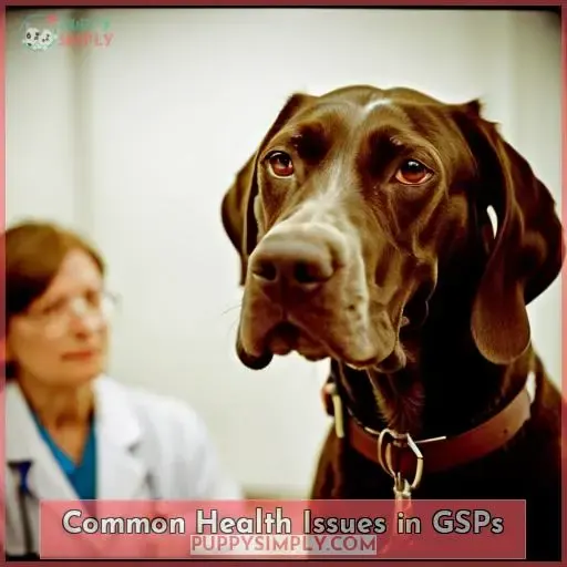 Common Health Issues in GSPs