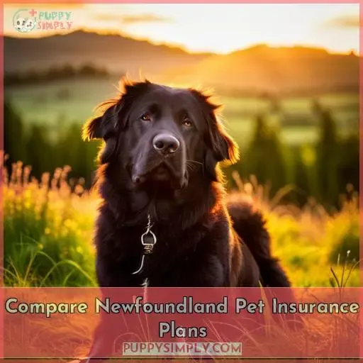 Compare Newfoundland Pet Insurance Plans