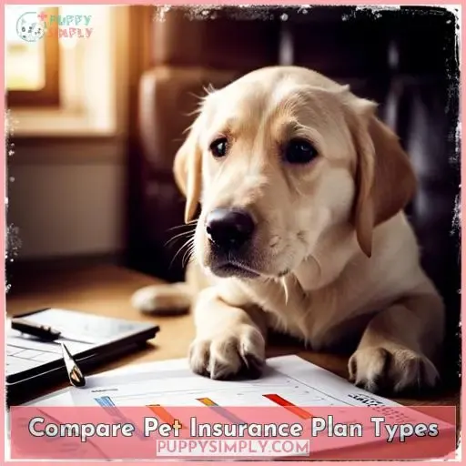 Compare Pet Insurance Plan Types