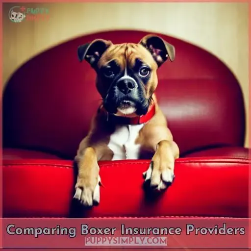 Comparing Boxer Insurance Providers