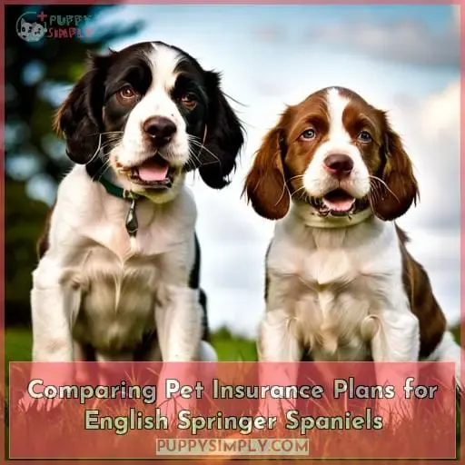Comparing Pet Insurance Plans for English Springer Spaniels