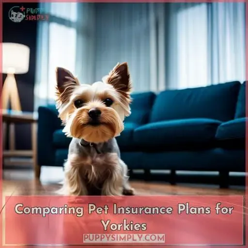 Comparing Pet Insurance Plans for Yorkies