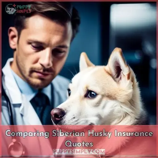 Comparing Siberian Husky Insurance Quotes