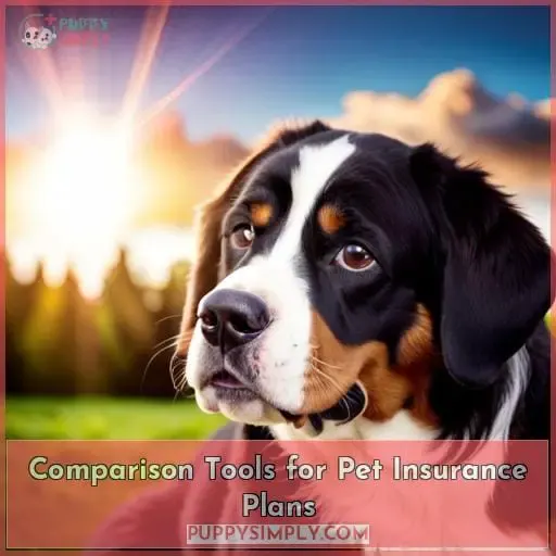 Comparison Tools for Pet Insurance Plans