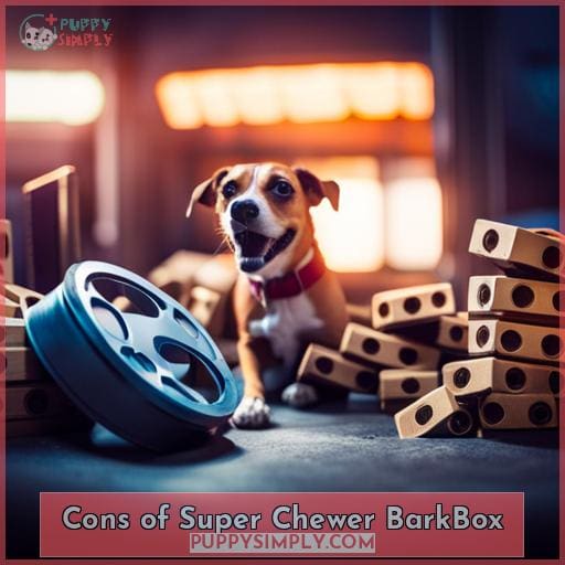 Cons of Super Chewer BarkBox