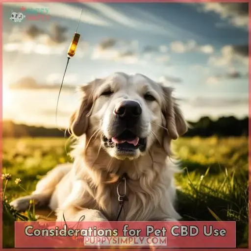 Considerations for Pet CBD Use