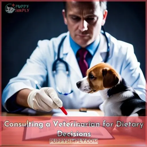 Consulting a Veterinarian for Dietary Decisions