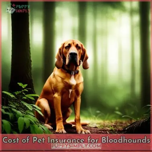 Cost of Pet Insurance for Bloodhounds