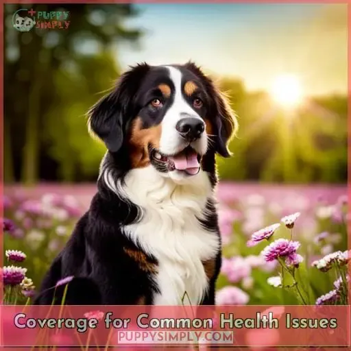Coverage for Common Health Issues