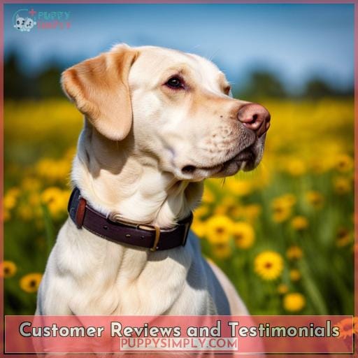 Customer Reviews and Testimonials