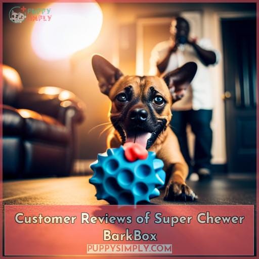Customer Reviews of Super Chewer BarkBox