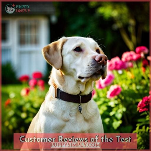 Customer Reviews of the Test