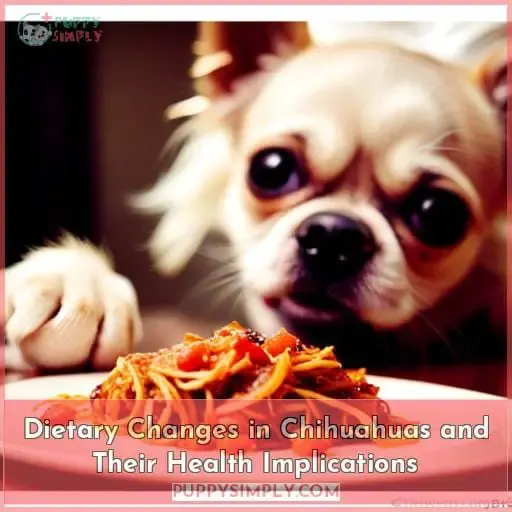 Dietary Changes in Chihuahuas and Their Health Implications