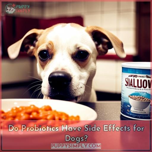 Do Probiotics Have Side Effects for Dogs