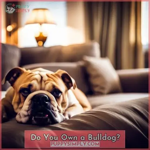 Do You Own a Bulldog