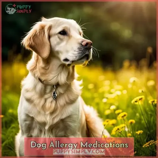 Dog Allergy Medications