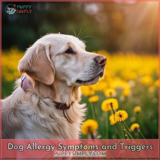Dog Allergy Symptoms and Triggers